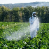 Agrochemical logistics