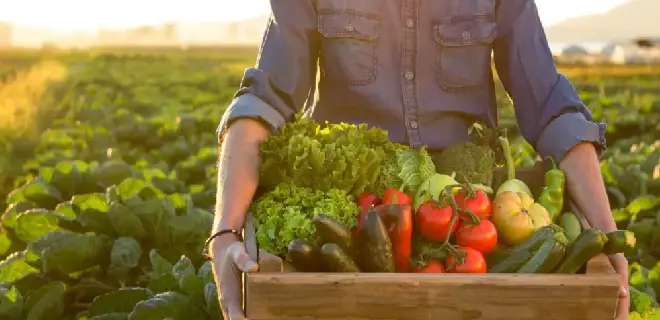 farm products freight services India