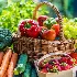 fruits & vegetables import export