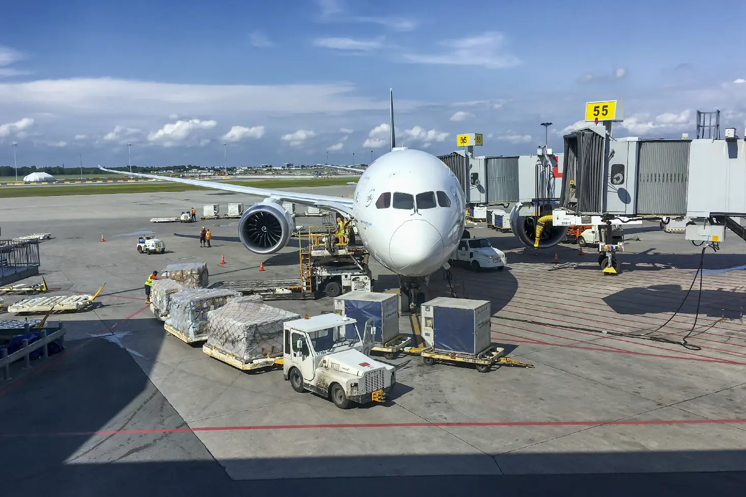 how help businesses import services