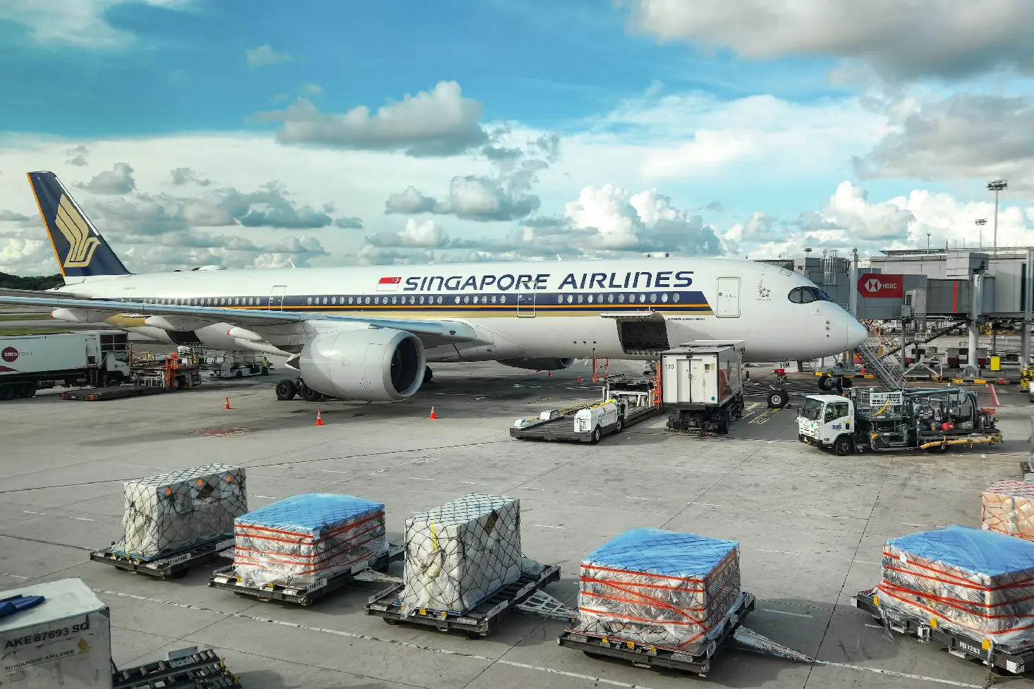 import cargo services